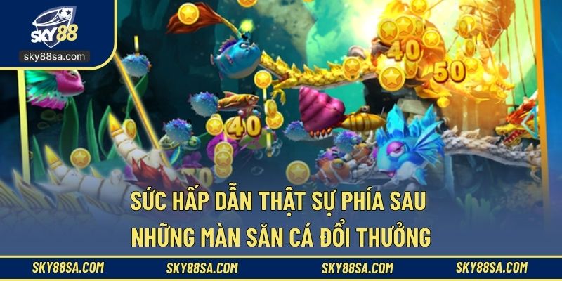 Sức hấp dẫn thật sự phía sau những màn săn cá đổi thưởng